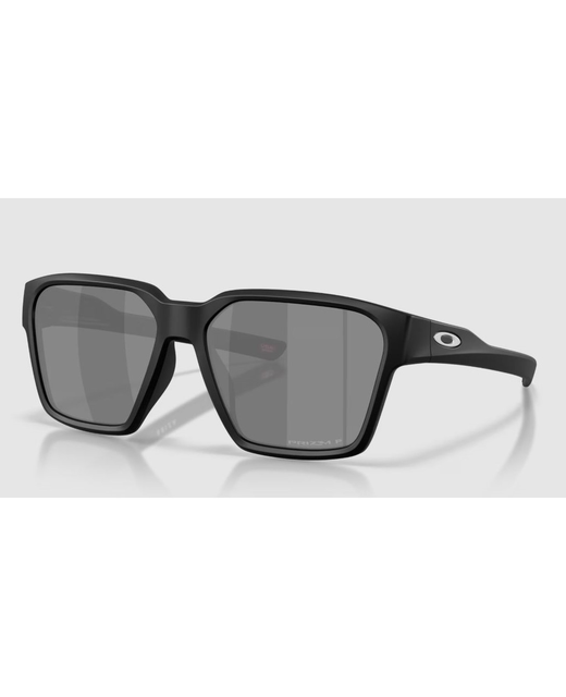 Oakley Briza Prizm Polar
