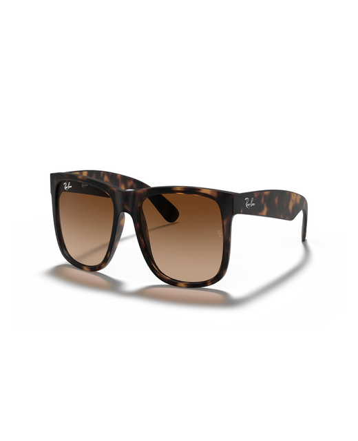 Ray-Ban Justin Rubber 