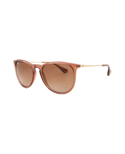 Ray-Ban Erika Transparent
