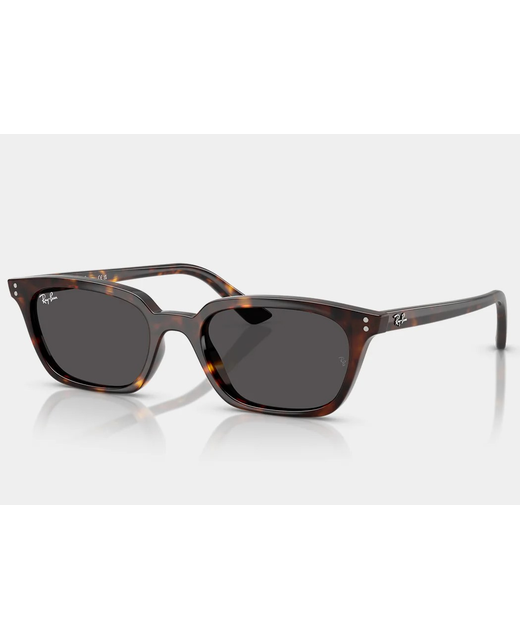 Ray-Ban Zaya 