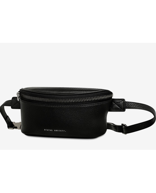 Status Anxiety Best Lies