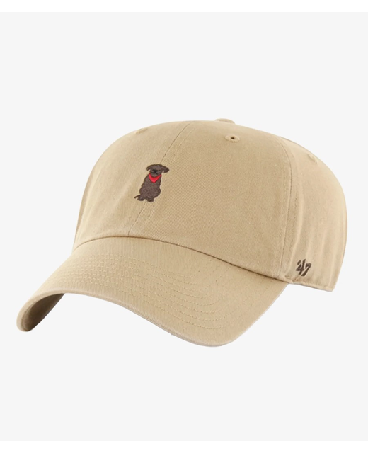 47 Brand Cleanup Chocolate Lab Cap