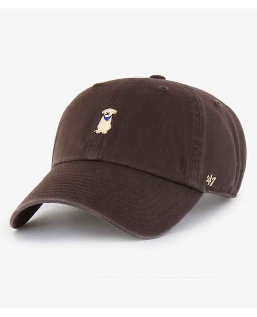47 Brand Cleanup Labrador Cap