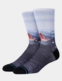 Stance Landlord Sock