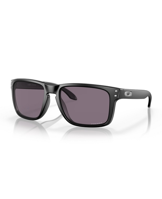 Oakley Holbrook XL Prizm