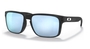 Oakley Holbrook Prizm Polar