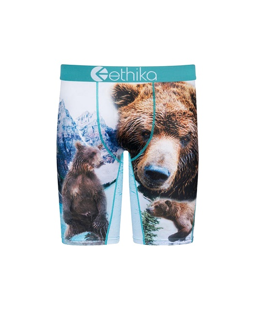 Ethika Boys Brother Bears Staple Underwear