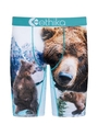 Ethika Boys Brother Bears Staple Underwear